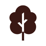 Symbol eines Baumes, das für direkte und nachhaltige Schokoladenherstellung steht.